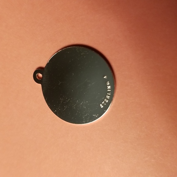 2 items Sterling Silver Zodiac Charm & Silver Plated Amethyst Necklace - Picture 4 of 4